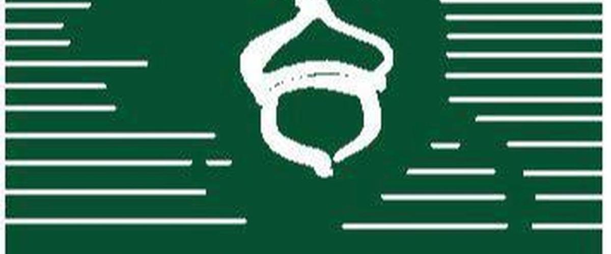 Acorn feature image