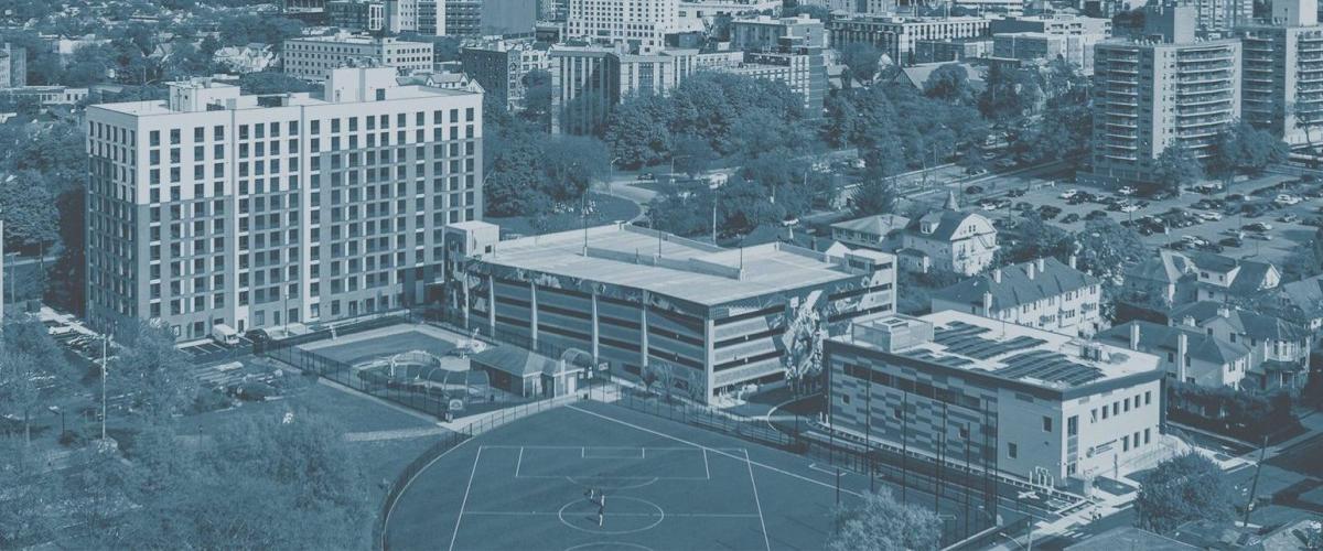 McNamara Salvia banner