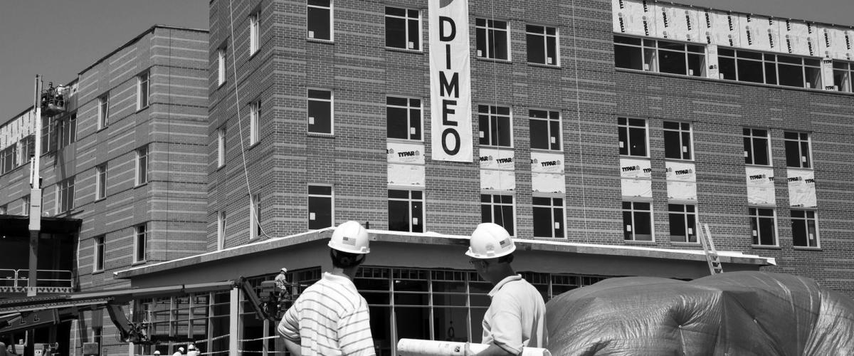 Dimeo logo