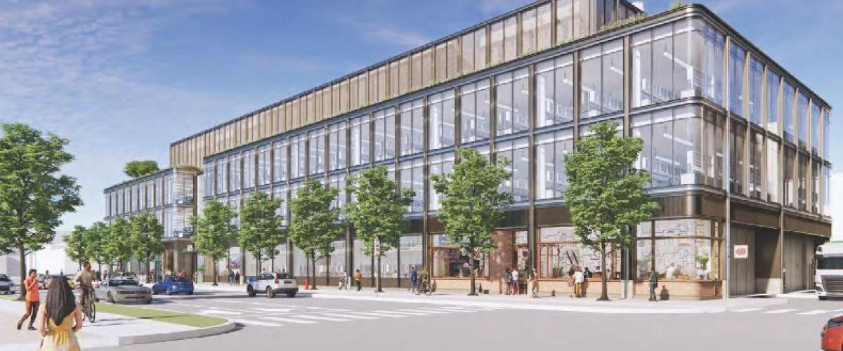 Rendering of 6 Elkins Street