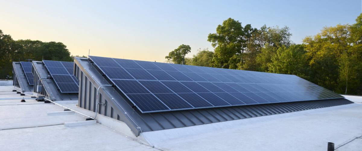 Photo of solar panels on sawtooth roof