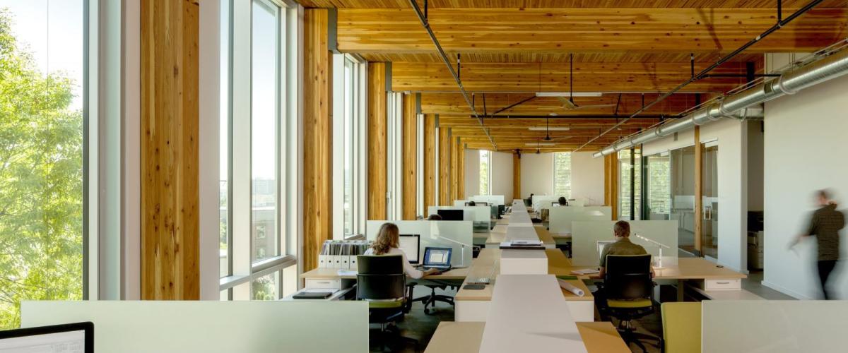 A bright, open-plan office with heavy timber ceilings, large windows, and rows of desks.