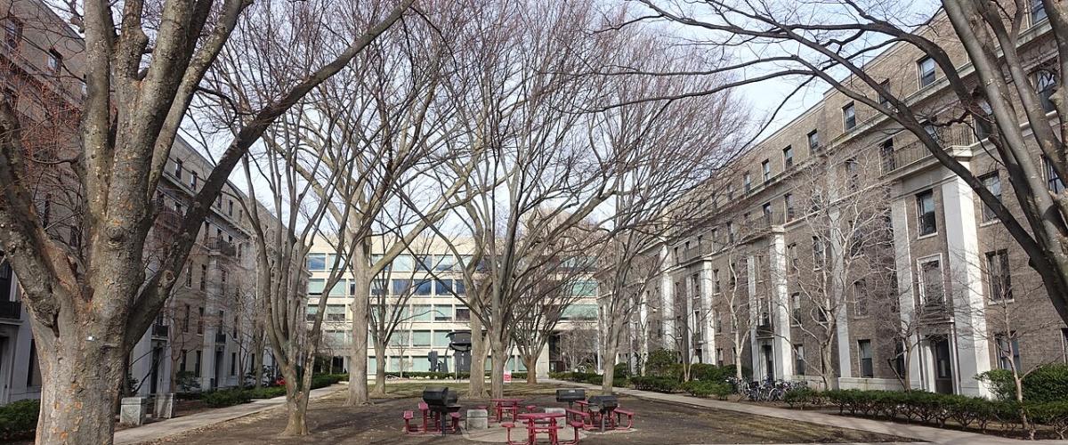 Courtyard view of Buildings 62-64 East MIT campus