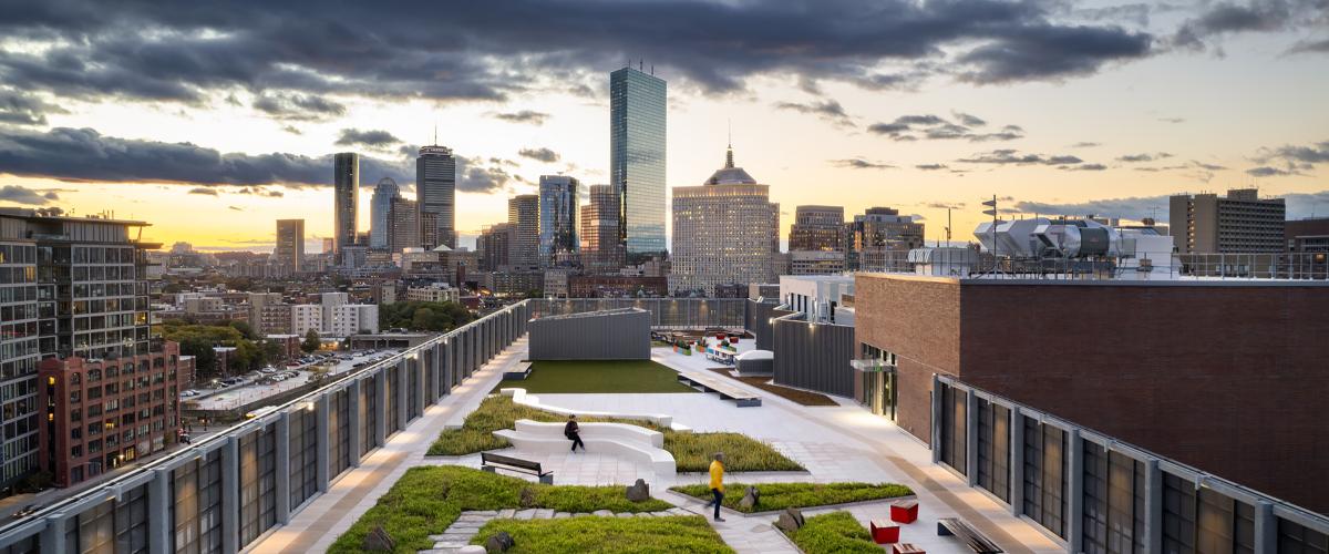 JQUS accessible green roof