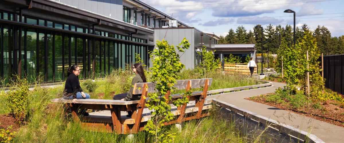 A contemporary building exterior with a curved pathway and a seating area nestled among tall grasses and shrubs.