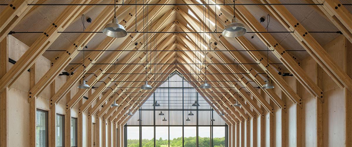 Wood beam interior of the Tashjian Bee Center