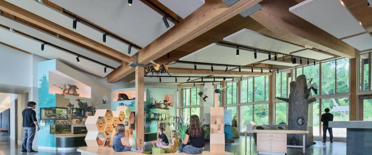 Interior childhood education area of Nature Center