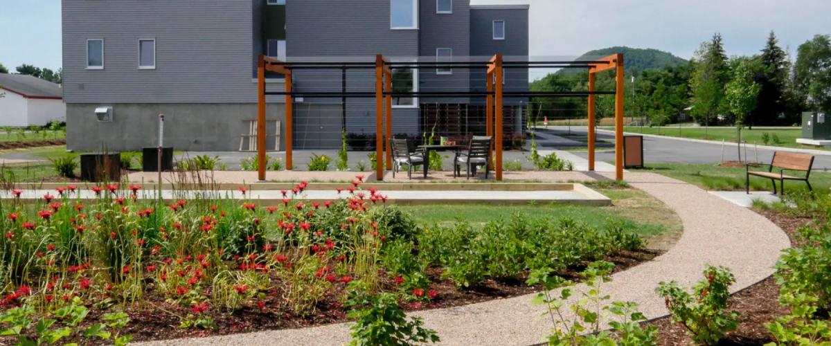Elm Place garden walkway
