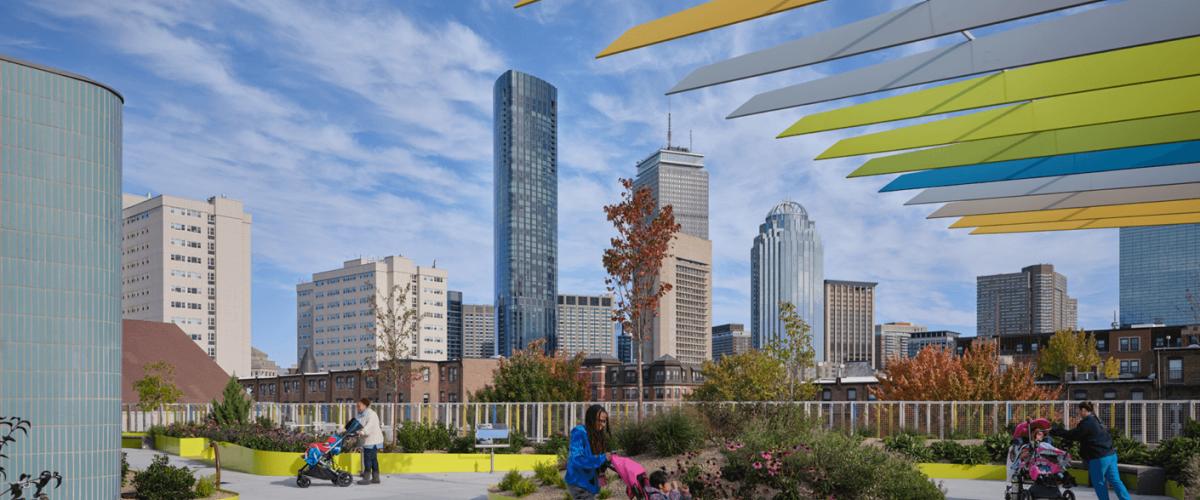 Roof top gardens on William E. Carter School
