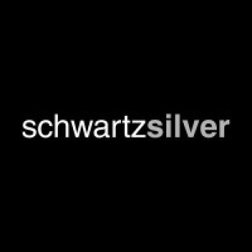 Schwartz Silver Architects logo