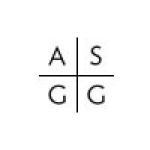 Adrian Smith + Gordon Gill Architecture