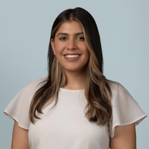 Professional headshot of a smiling woman with long dark brown hair and lighter highlights, wearing a white short-sleeve blouse. She is facing the camera against a light blue-gray background with a friendly and confident expression.