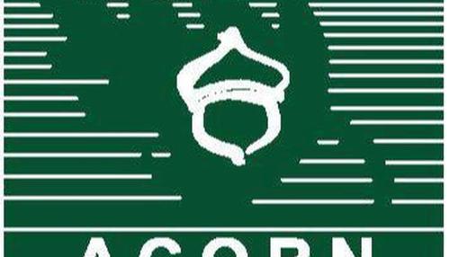 Acorn feature image
