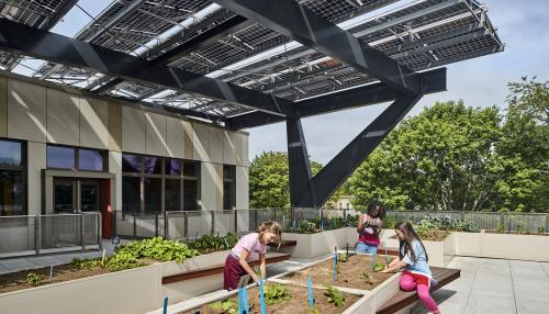 Image of children gardening in raised beds below a canopy of photovoltaics