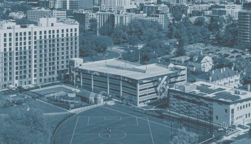 McNamara Salvia banner