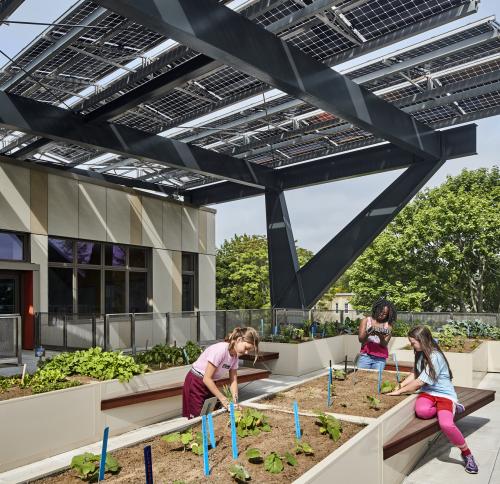 Image of children gardening in raised beds below a canopy of photovoltaics