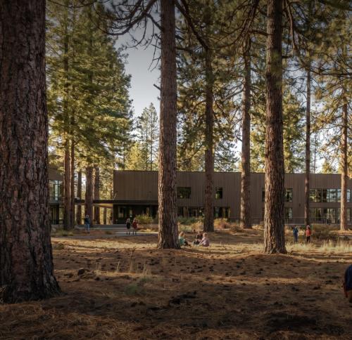 A modern, wooden building nestled among tall pine trees.