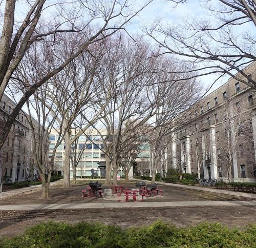 Courtyard view of Buildings 62-64 East MIT campus