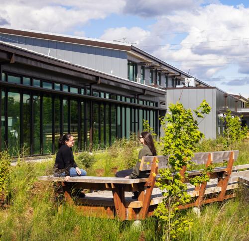 A contemporary building exterior with a curved pathway and a seating area nestled among tall grasses and shrubs.