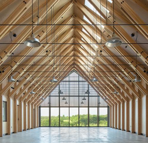 Wood beam interior of the Tashjian Bee Center